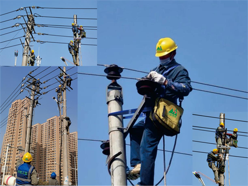 国家电网武汉供电公司·顺民线(10千伏)线路施工工程.png 国家电网武汉供电公司·顺民线(10千伏)线路施工工程.png